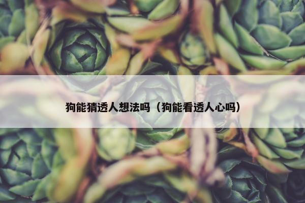 狗能猜透人想法吗（狗能看透人心吗）