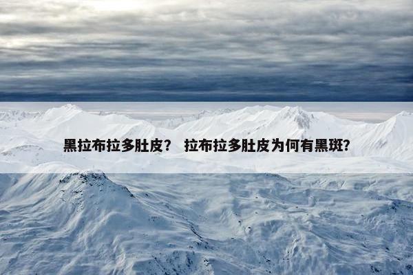 黑拉布拉多肚皮？ 拉布拉多肚皮为何有黑斑？