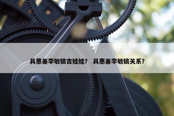 具惠善李敏镐吉娃娃？ 具惠善李敏镐关系？