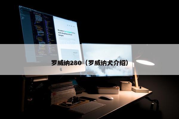 罗威纳280（罗威纳犬介绍）
