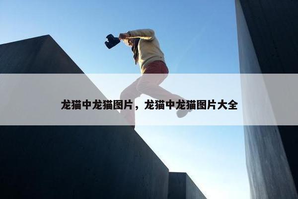 龙猫中龙猫图片，龙猫中龙猫图片大全