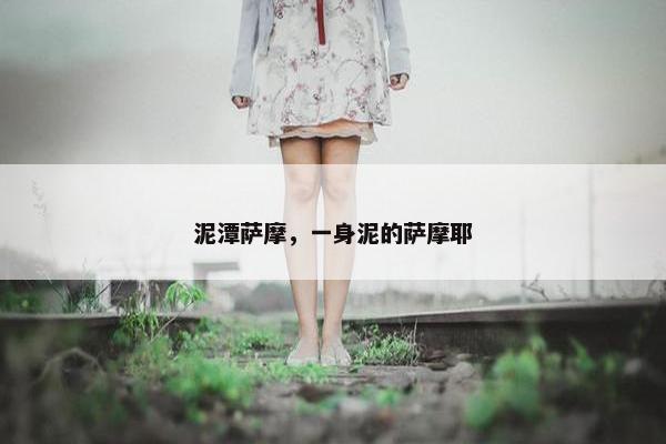 泥潭萨摩，一身泥的萨摩耶