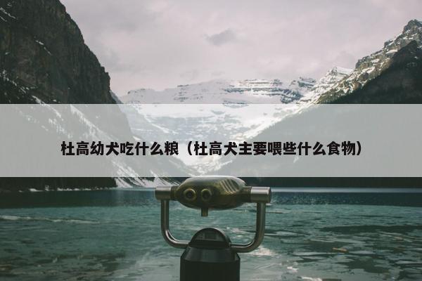 杜高幼犬吃什么粮（杜高犬主要喂些什么食物）