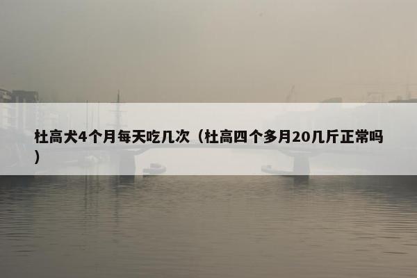 杜高犬4个月每天吃几次（杜高四个多月20几斤正常吗）