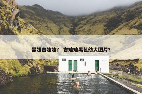 黑妞吉娃娃？ 吉娃娃黑色幼犬图片？