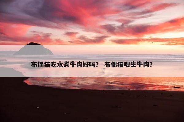 布偶猫吃水煮牛肉好吗？ 布偶猫喂生牛肉？