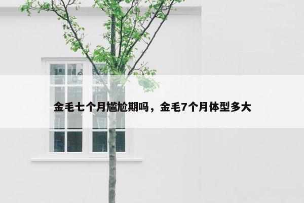 金毛七个月尴尬期吗，金毛7个月体型多大