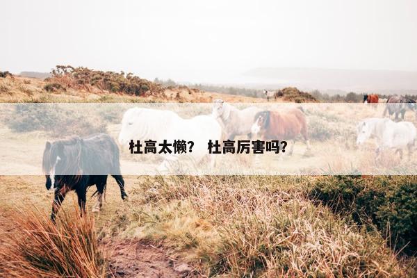 杜高太懒？ 杜高厉害吗？