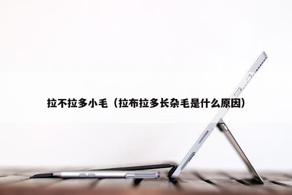 拉不拉多小毛（拉布拉多长杂毛是什么原因）