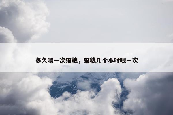 多久喂一次猫粮，猫粮几个小时喂一次