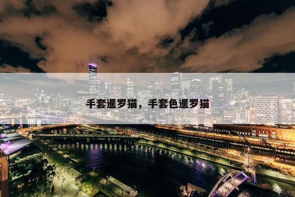 手套暹罗猫，手套色暹罗猫