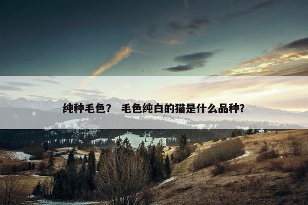 纯种毛色？ 毛色纯白的猫是什么品种？