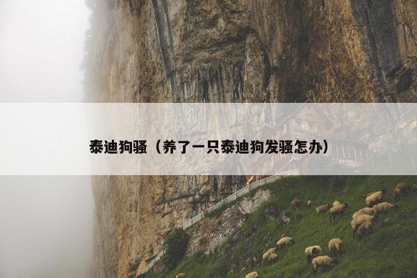 泰迪狗骚（养了一只泰迪狗发骚怎办）
