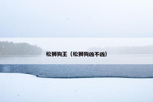 松狮狗王（松狮狗凶不凶）