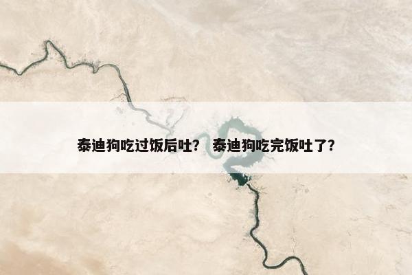 泰迪狗吃过饭后吐？ 泰迪狗吃完饭吐了？