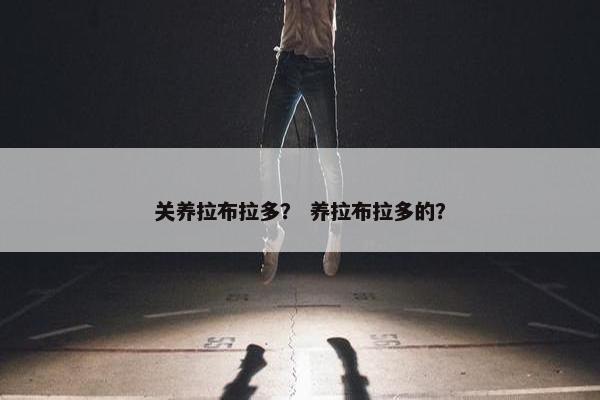 关养拉布拉多？ 养拉布拉多的？