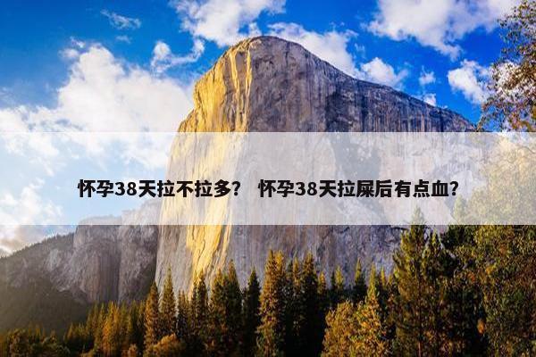 怀孕38天拉不拉多？ 怀孕38天拉屎后有点血？