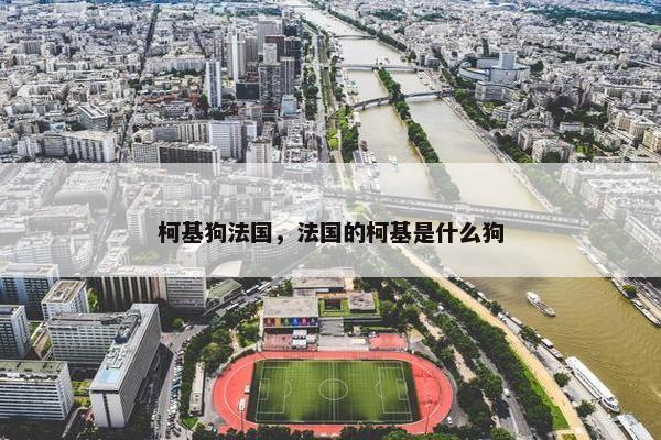 柯基狗法国，法国的柯基是什么狗