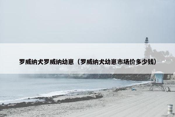 罗威纳犬罗威纳幼崽（罗威纳犬幼崽市场价多少钱）