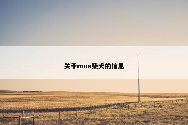 关于mua柴犬的信息