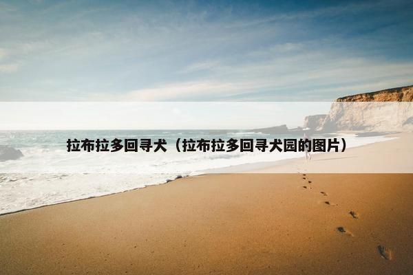 拉布拉多回寻犬（拉布拉多回寻犬园的图片）