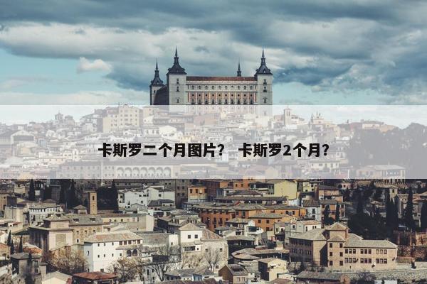 卡斯罗二个月图片？ 卡斯罗2个月？