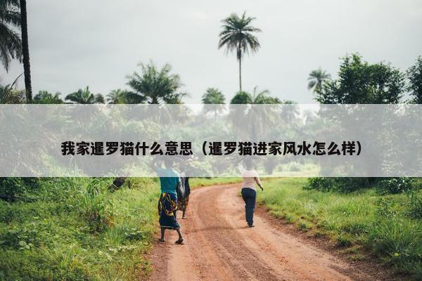 我家暹罗猫什么意思（暹罗猫进家风水怎么样）