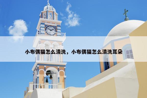 小布偶猫怎么清洗，小布偶猫怎么清洗耳朵