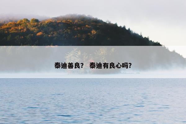 泰迪善良？ 泰迪有良心吗？