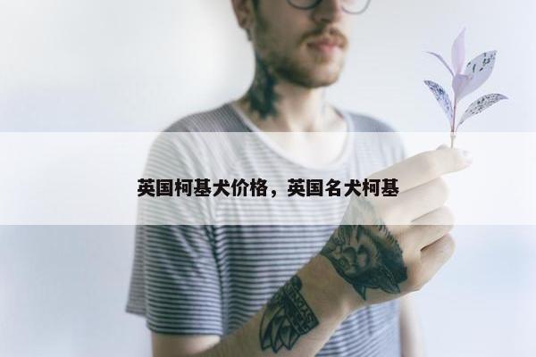 英国柯基犬价格，英国名犬柯基