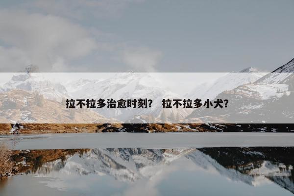 拉不拉多治愈时刻？ 拉不拉多小犬？