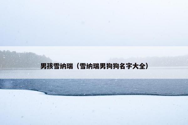 男孩雪纳瑞（雪纳瑞男狗狗名字大全）
