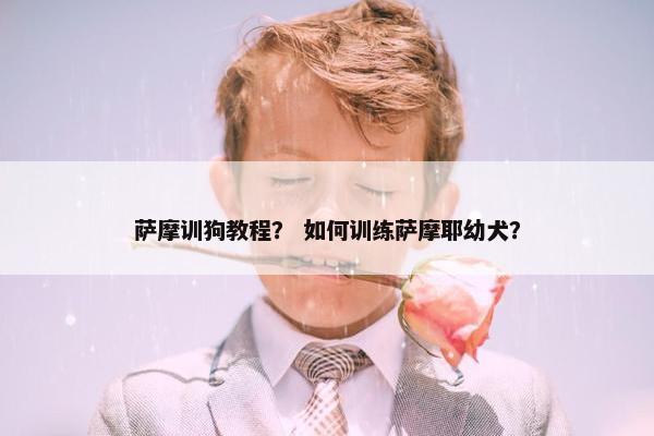 萨摩训狗教程？ 如何训练萨摩耶幼犬？