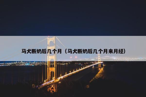 马犬断奶后几个月（马犬断奶后几个月来月经）