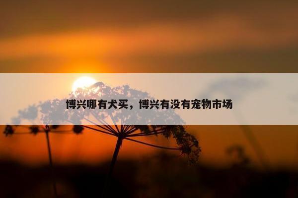 博兴哪有犬买，博兴有没有宠物市场