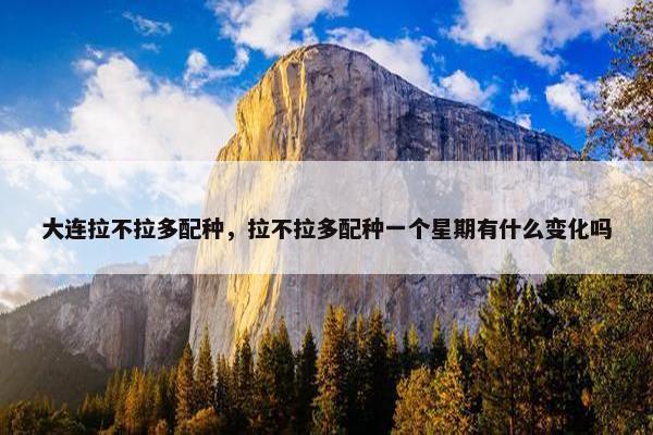 大连拉不拉多配种，拉不拉多配种一个星期有什么变化吗