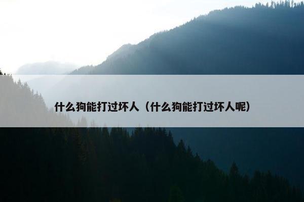 什么狗能打过坏人（什么狗能打过坏人呢）