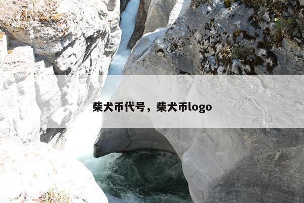 柴犬币代号，柴犬币logo