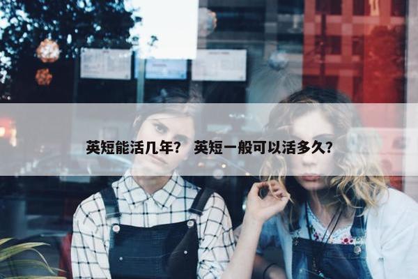 英短能活几年？ 英短一般可以活多久？