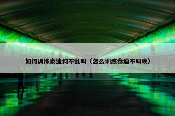 如何训练泰迪狗不乱叫（怎么训练泰迪不叫唤）