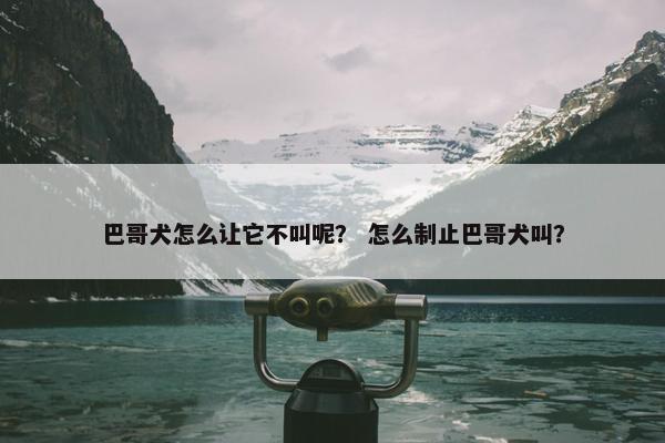 巴哥犬怎么让它不叫呢？ 怎么制止巴哥犬叫？