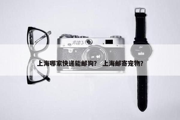 上海哪家快递能邮狗？ 上海邮寄宠物？