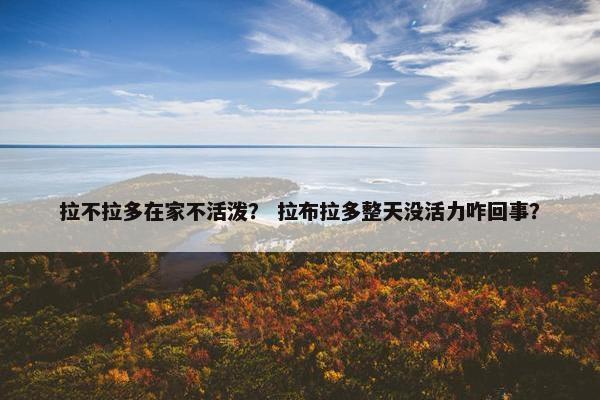 拉不拉多在家不活泼？ 拉布拉多整天没活力咋回事？