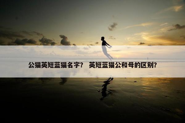 公猫英短蓝猫名字？ 英短蓝猫公和母的区别？
