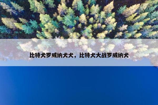 比特犬罗威纳犬犬，比特犬大战罗威纳犬