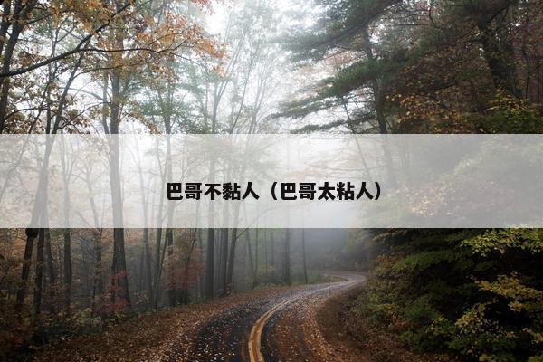 巴哥不黏人（巴哥太粘人）