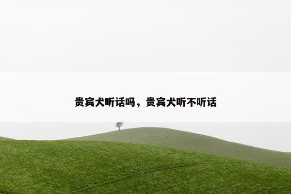 贵宾犬听话吗，贵宾犬听不听话