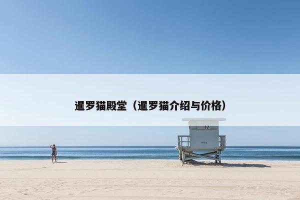 暹罗猫殿堂（暹罗猫介绍与价格）