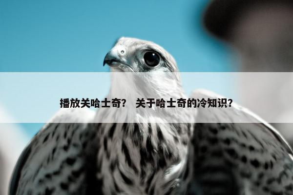 播放关哈士奇？ 关于哈士奇的冷知识？