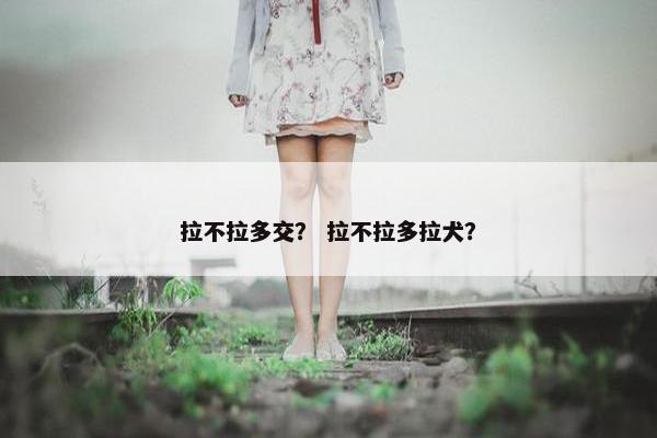 拉不拉多交？ 拉不拉多拉犬？